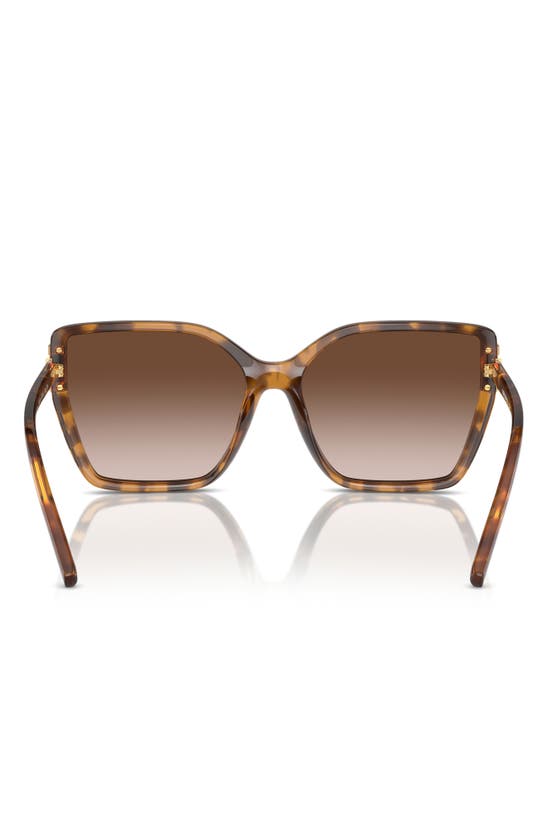 Tory Burch 58mm Eleanor Square Sunglasses In Tortoise