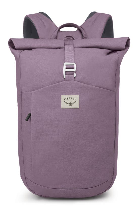 Shop Osprey Arcane™ 22l Roll Top Backpack In Purple Dusk Heather