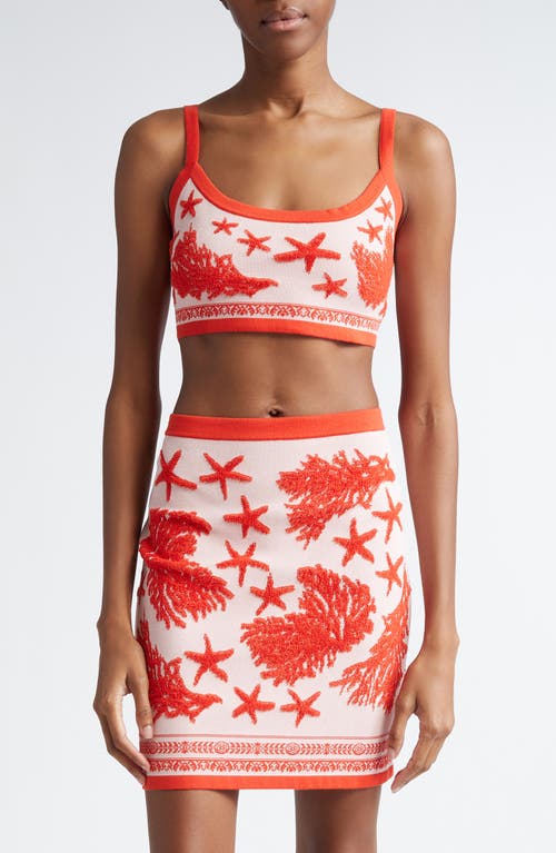 Versace Jacquard Knit Crop Top Dusty Rose at Nordstrom, Us