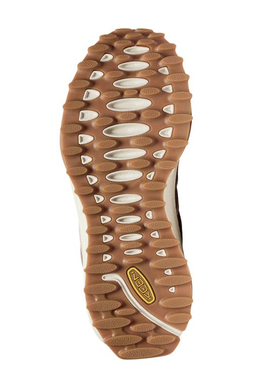 Keen Zionic Waterproof Hiking Boot In Warm Taupe/birch