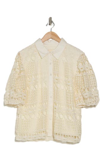By Design Brianna Short Sleeve Lace Top In Gardenia