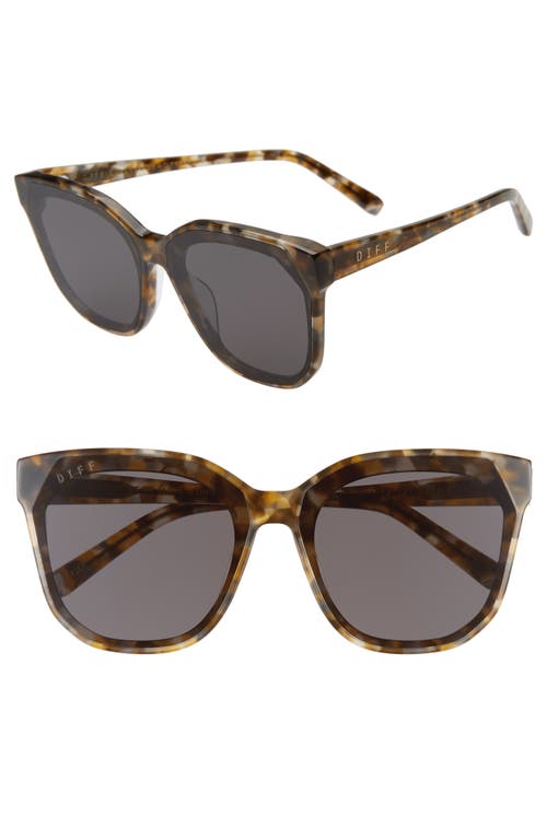 Shop Diff Gia 62mm Oversize Square Sunglasses In Sea Turtle Tortoise/grey