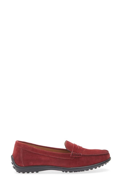 The Flexx Winter Penny Loafer In Bordeaux