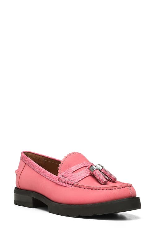 Donald Pliner Lenny Tassel Loafer at Nordstrom,