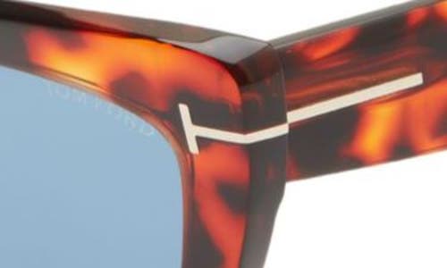 TOM FORD TOM FORD WYATT 56MM GRADIENT CAT EYE SUNGLASSES 