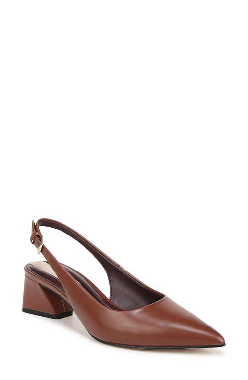 Franco Sarto Women's Racer Pointed Toe Block Heel Slingback Pumps In Brown