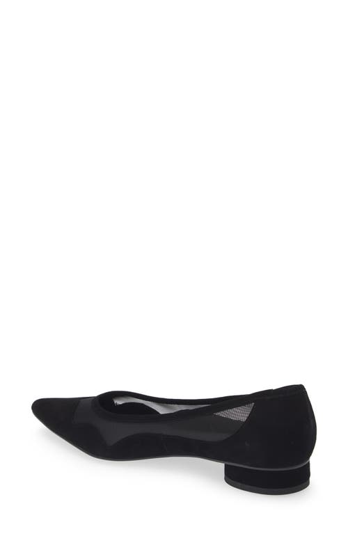 KOKO + PALENKI KOKO + PALENKI SHELBY POINTED TOE FLAT