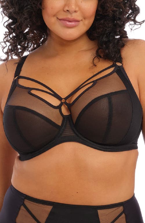 Elomi Sachi Full Figure Underwire Plunge Bra Black at Nordstrom,