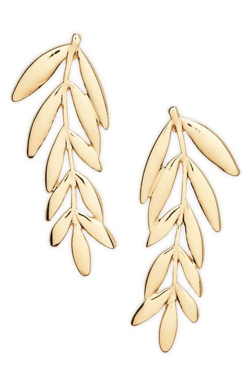 Nordstrom Botanical Leaf Drop Earrings in Gold 