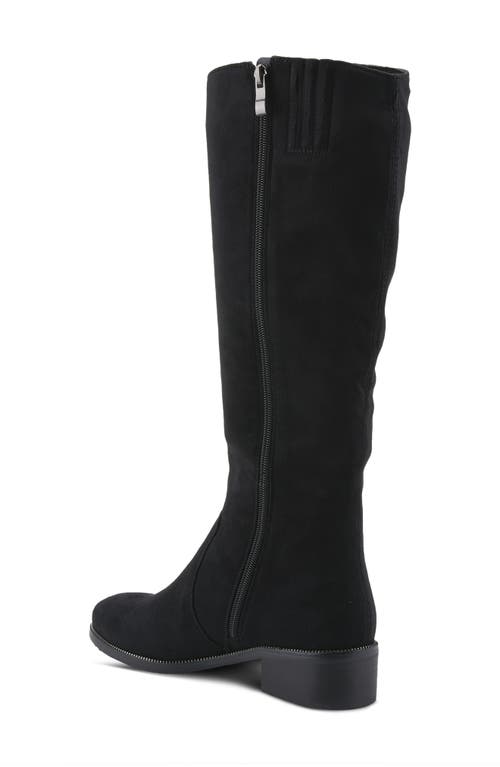 Shop Azura By Spring Step Blackenbury Knee High Boot