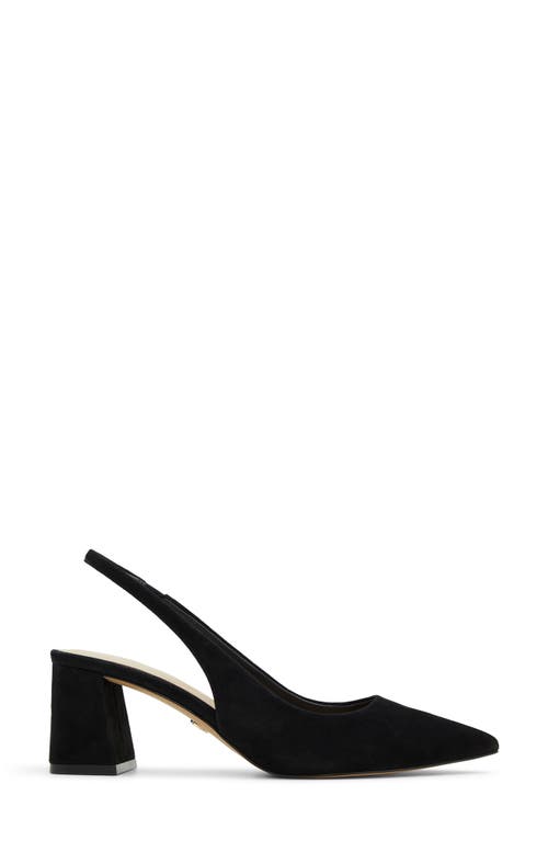 Shop Aldo Uliana Slingback Pointed Toe Pump In Black