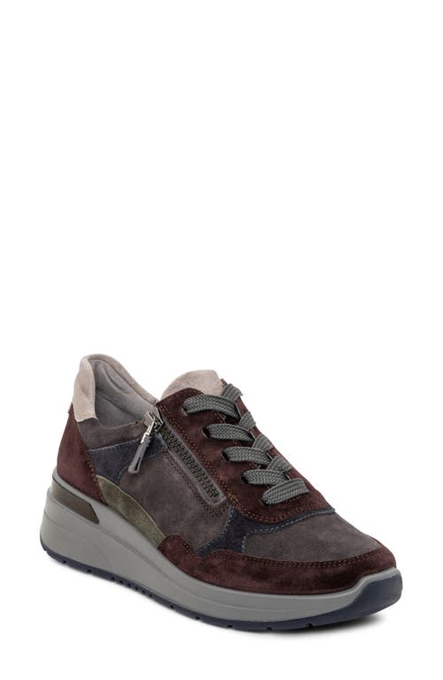 Shop Ara Gardenia Sneaker In Brown