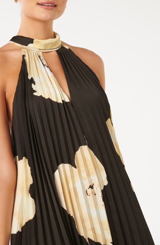 Ever New Saylor Floral Pleated Maxi Dress In Amery Floral
