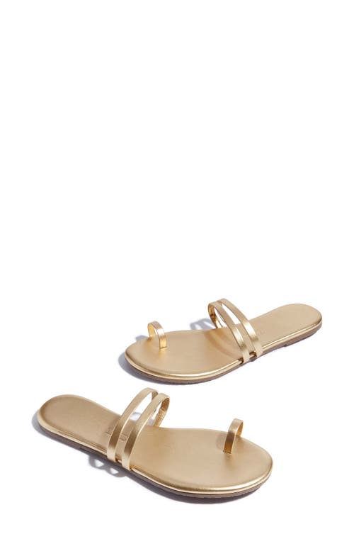 Shop Tkees Leah Toe Loop Sandal In Blink