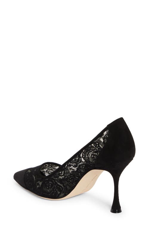 Shop Manolo Blahnik Sololaria Pointed Toe Pump In Black