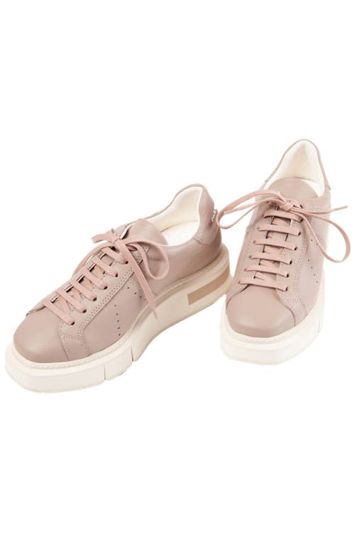 Shop Paloma Barceló Paloma Barcelo Agen Sneaker In Medium Purple/mauve