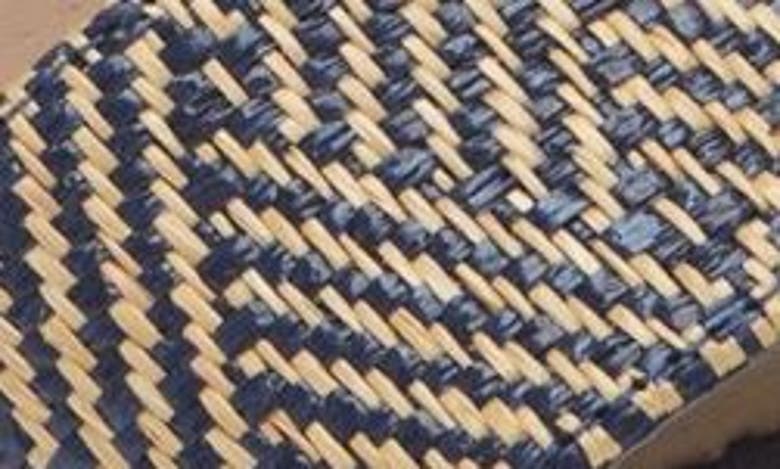 Chocolat Blu Celine Sandal In Blue Combo Raffia