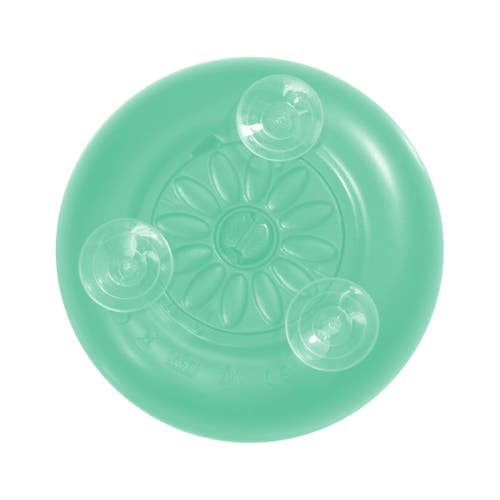 Zadro Lighted Compact Mirror With 10x Magnification & Suction Cup In Seafoam Green