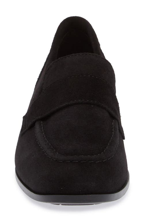 Cordani Ardelle Moc Toe Loafer In Black Suede