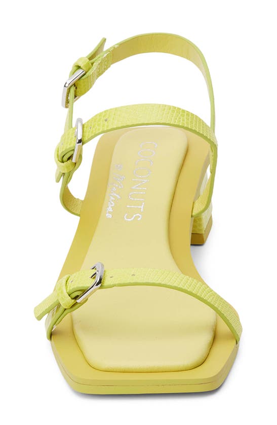 Shop Coconuts By Matisse Maya Slingback Sandal In Lime Lizard