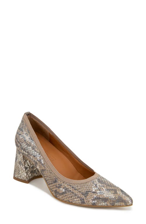 Dionne Pointed Toe Pump in Light Brown Snake