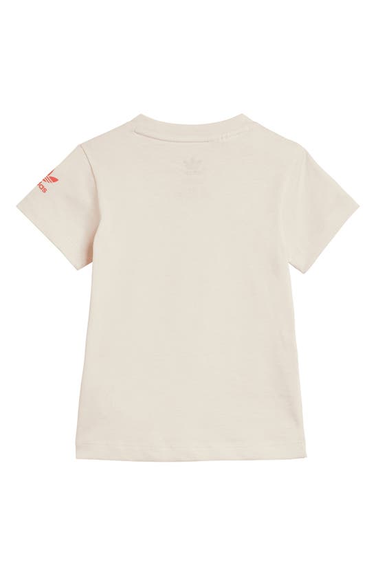 Shop Adidas Originals Kids' Floral Cotton Graphic T-shirt & Shorts Set In Wonder White