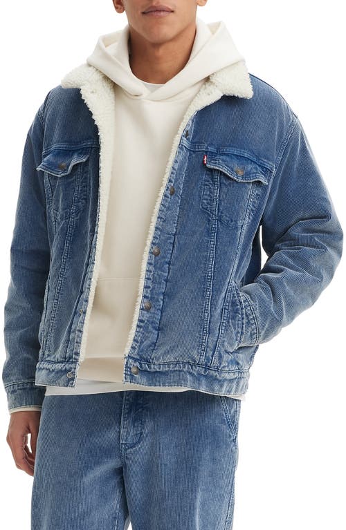 Shop Levi's Corduroy High Pile Fleece Lined Trucker Jacket In Blue Spring Cord Trucker