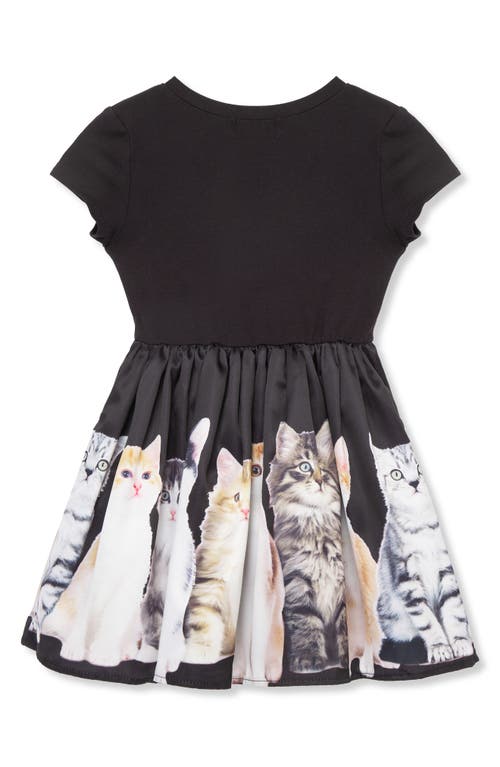 Shop Peek Aren't You Curious Kids' Photoreal Kitten Fit & Flare Dress In Black