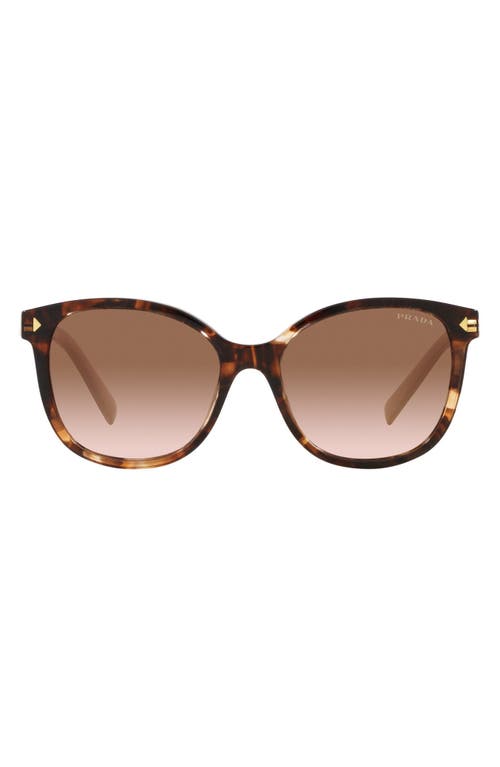 Prada 53mm Square Sunglasses in Brown Tort at Nordstrom