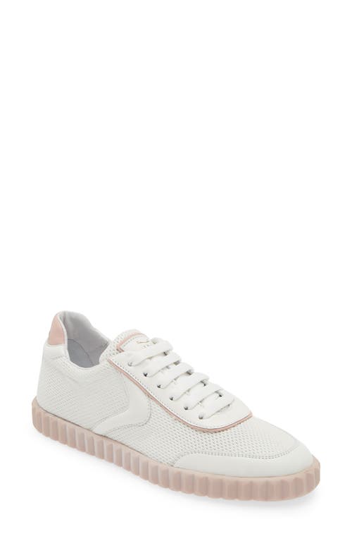 Voile Blanche Selia Sneaker In White/rose