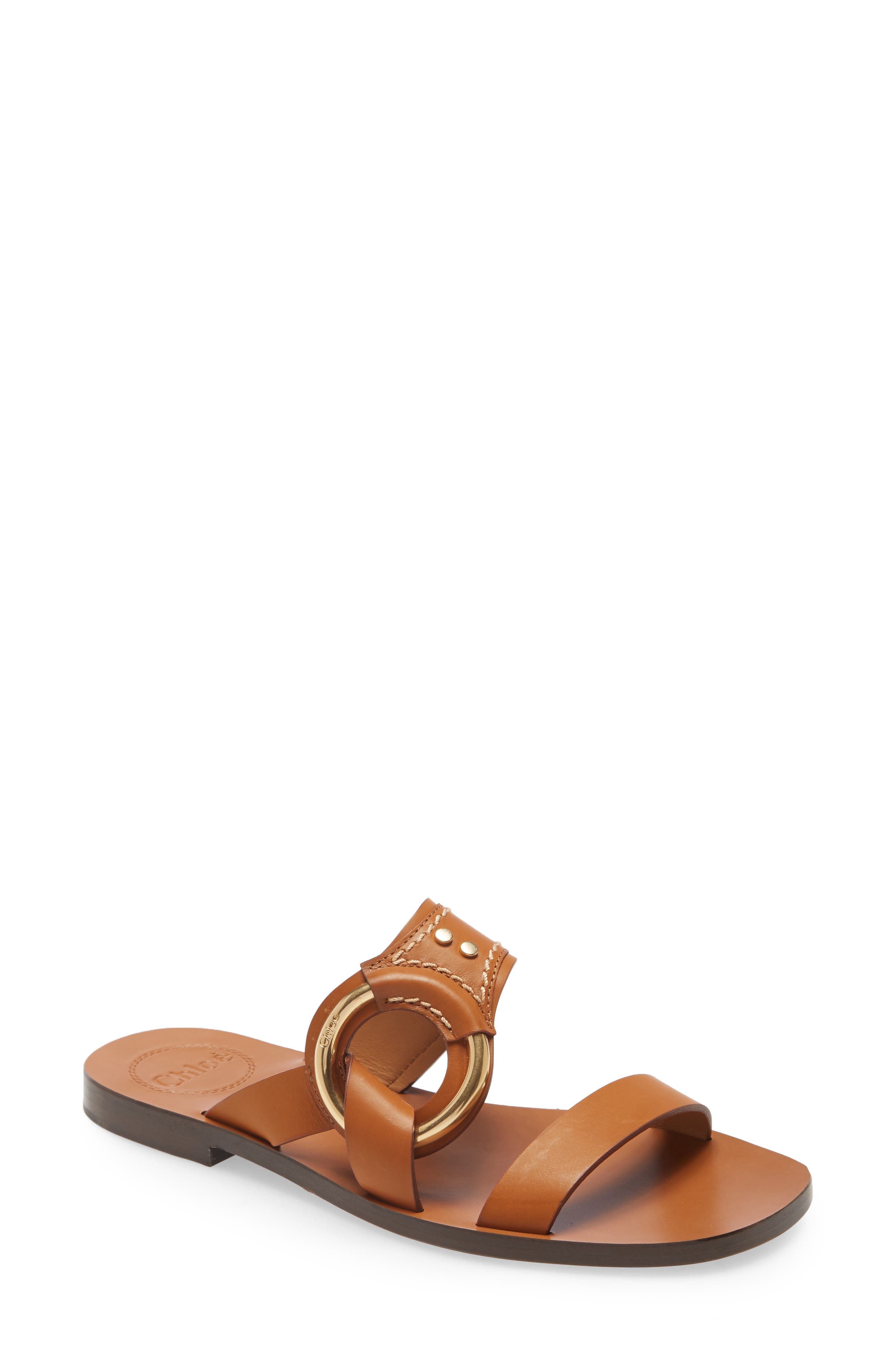 Chloé Demi Slide Sandal In Cognac Brown