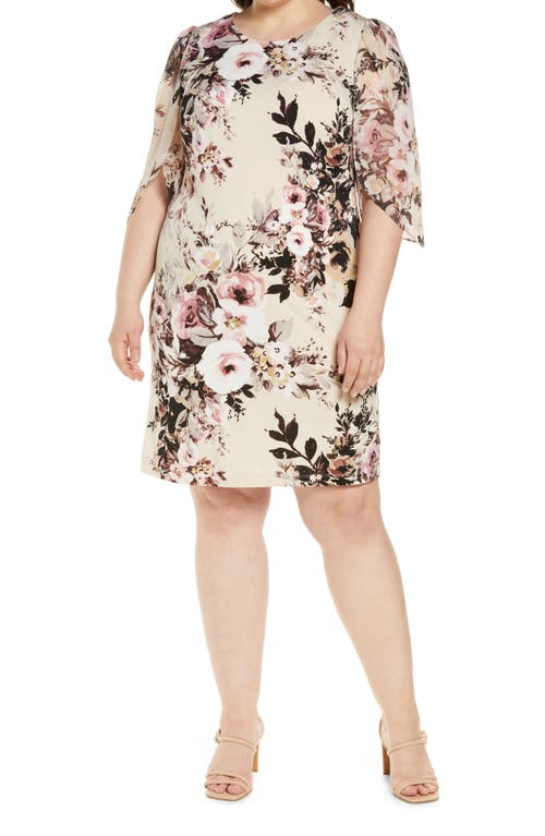 Connected Apparel Floral Dress in Champagne at Nordstrom, Size 14W