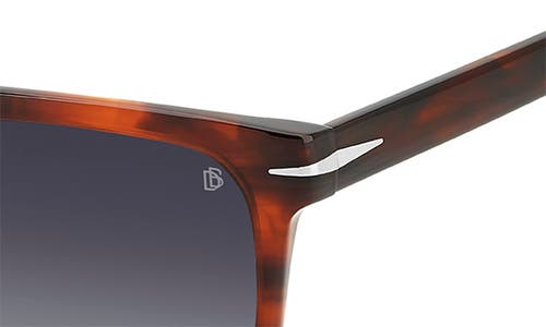 Shop David Beckham Eyewear 56mm Square Sunglasses In Brown Horn