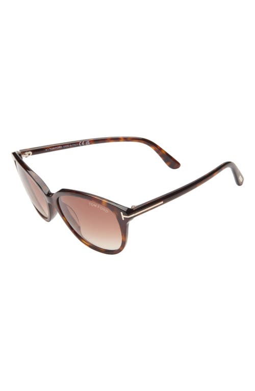 Tom Ford Karmen 57mm Gradient Round Sunglasses In Havana/gradient Brown Lenses