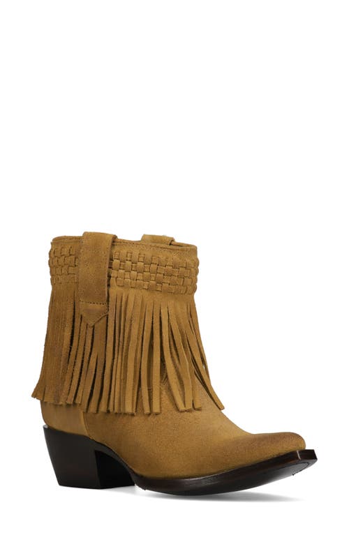 Shop Frye Sacha Fringe Bootie In Dark Sand