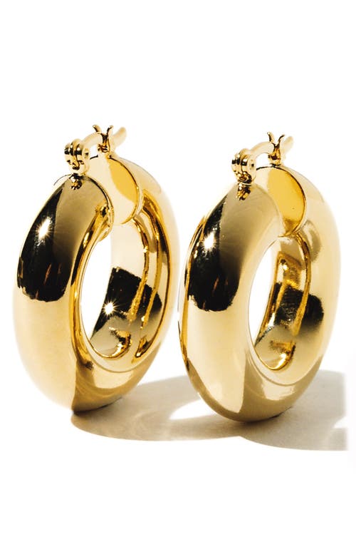 Aubree Small Hoop Earrings in Gold