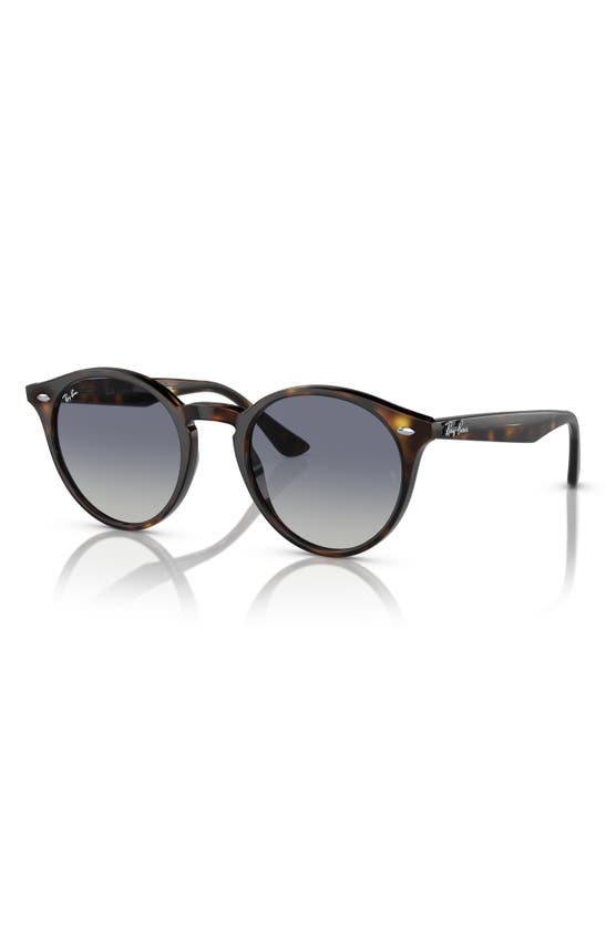 Shop Ray Ban 49mm Retro Sunglasses In Lite Havana