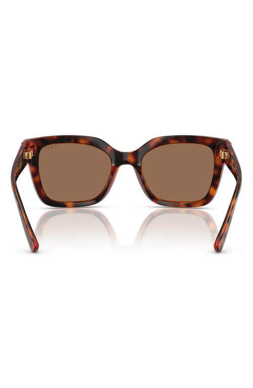 Vogue 54mm Polarized Square Sunglasses In Dark Havana