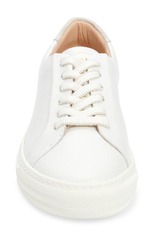 Frankie4 Mim Iv Sneaker In White/suede