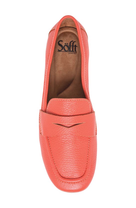 Shop Söfft Allie Moc Toe Penny Loafer In Coral