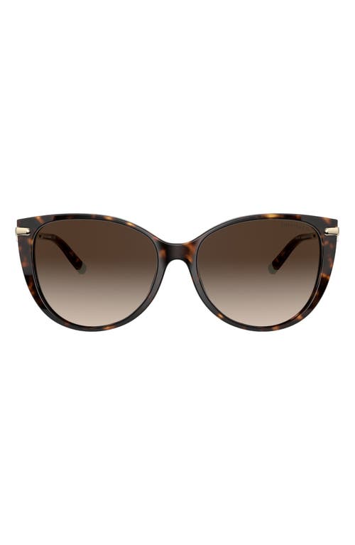 Tiffany & Co Tf4178 Cat-eye Frame Acetate Sunglasses In Havana/brown Gradient