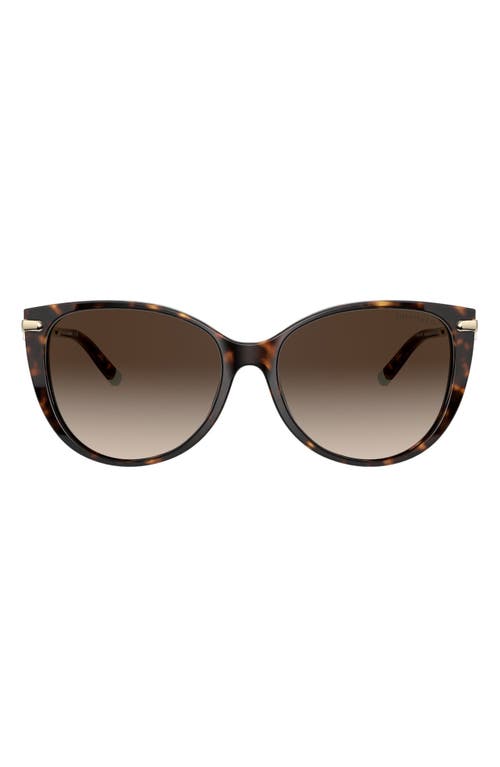 Shop Tiffany & Co . 57mm Gradient Cat Eye Sunglasses In Havana/brown Gradient