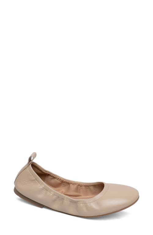 Linea Paolo Monte Ballet Flat at Nordstrom,