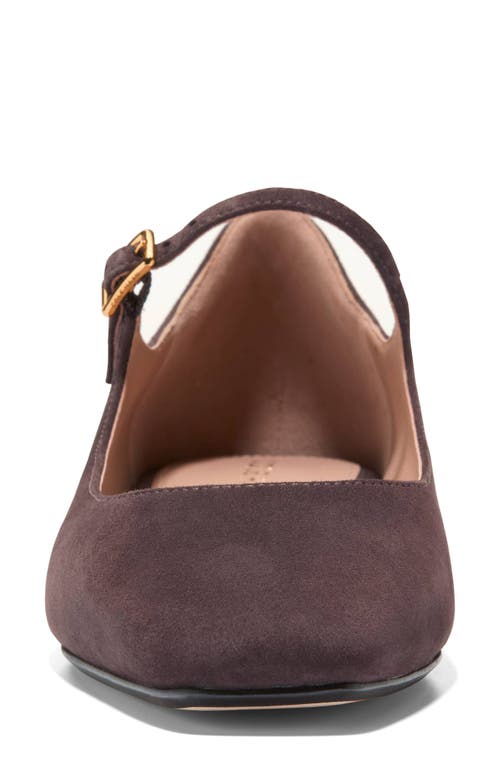 Shop Cole Haan Bridge Mary Jane Ballet Flat In Dark Chocolate Suede