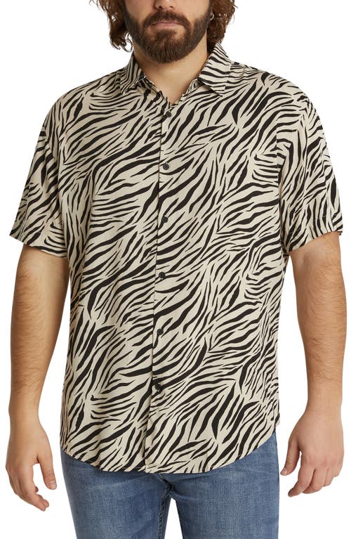 Johnny Bigg Blaine Zebra Print Short Sleeve Button-Up Shirt in Straw