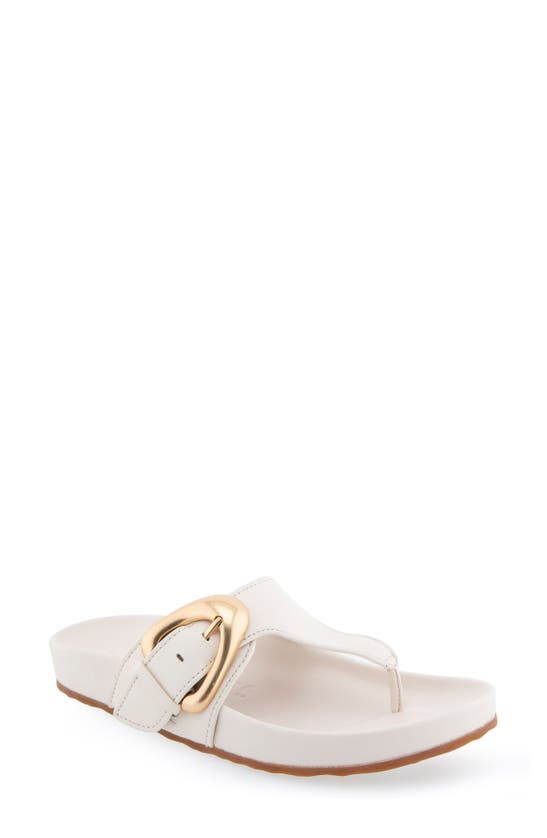 Shop Aerosoles Lloyd Buckle Sandal In Eggnog Leather