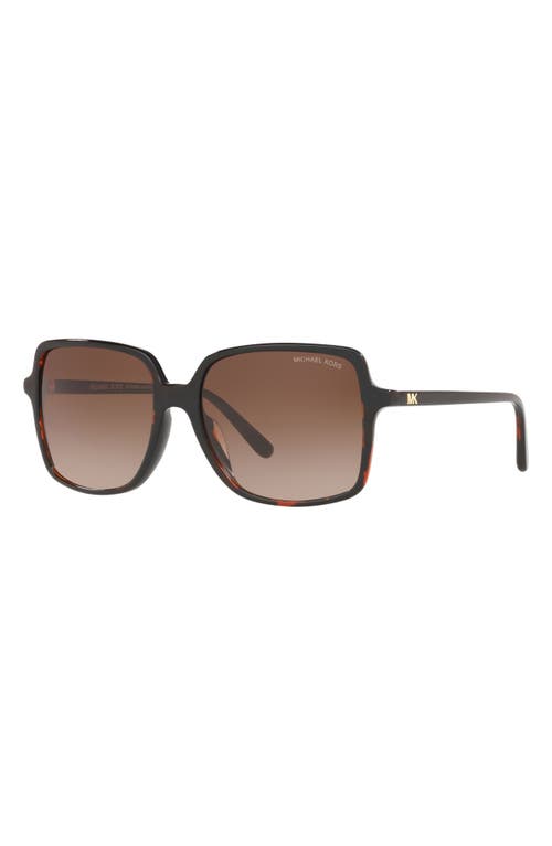 Michael Kors 56mm Gradient Square Sunglasses In New Tortoise/smoke Gradient