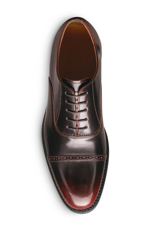 Allen Edmonds Brady Cap Toe Oxford In Burgundy
