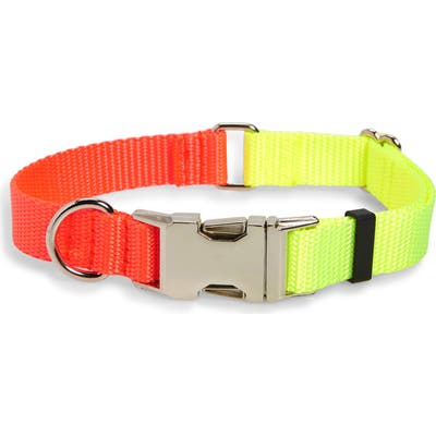 Ware Of The Dog Two-Tone Nylon Dog Collar, Yellow