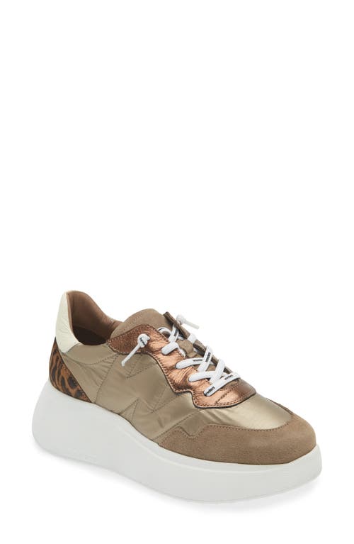 Wonders Roma Taupe Mixed Textile Chunky Trainers In Taupe/gold/leo Combo